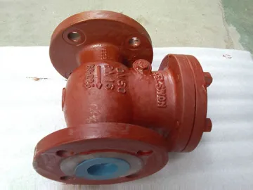 Check Valve