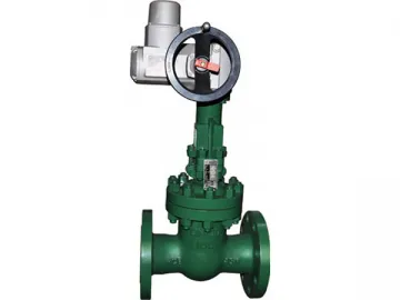 Gate Valve