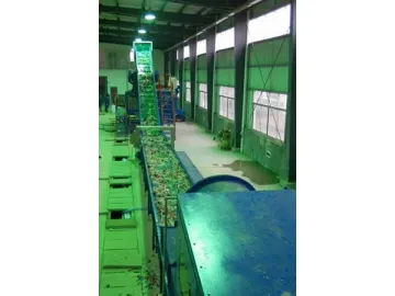 Plastic Film Shredding Washing Recycling Solution