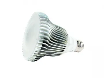 9W LED PAR Light