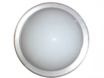 LED Ceiling Light