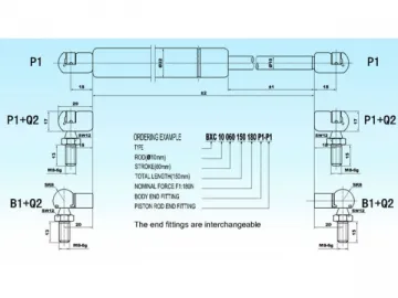 BXC 10/22Swift and Sure Gas Spring