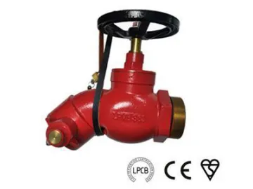 Bib Nose Landing Valve for Fire Hydrant System