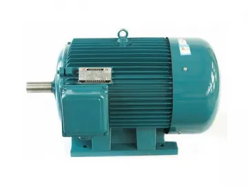 Electric Motor