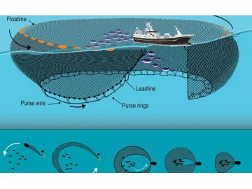 European Purse Seine