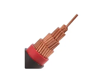 0.6/1 kV N2XY Cable (CU/XLPE/PVC)