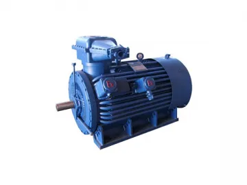 High Voltage Explosion-proof Three-phrase Induction Motor ZB-1