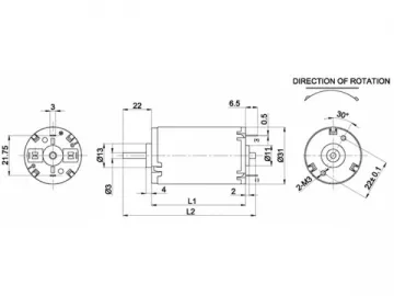 31mm Micro Brushed Motor