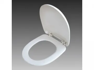 Toilet Seat