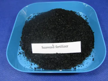 Seaweed fertilizer