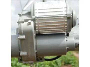 Gear Motor