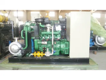 20kW LPG Generator