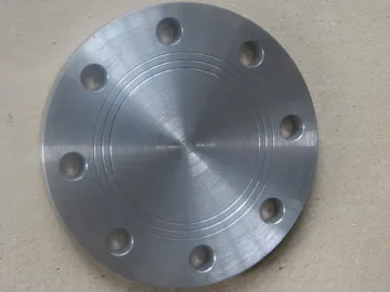 BS Flange