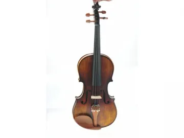 Matt Violin