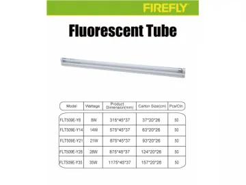 Fluorescent Fixture