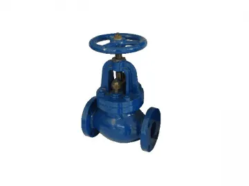 SHC-3E Globe Valve