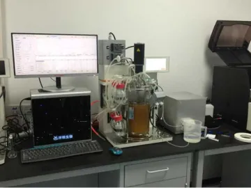 Automated On-line Sampling System