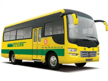 DD6600K01F/ DD6751K01F Transit Style School Bus