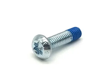 Anti-Theft Screw