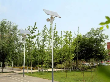 LED Flood Light