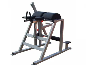 Reverse Hyper Extension Machine