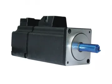 Servo Motor