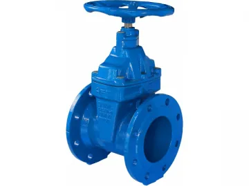 BS/EN Gate Valve, BS 5163/BS EN 1074-1/2