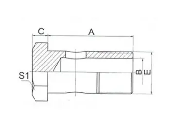 720B BSP Bolt (British Standard Pipe)