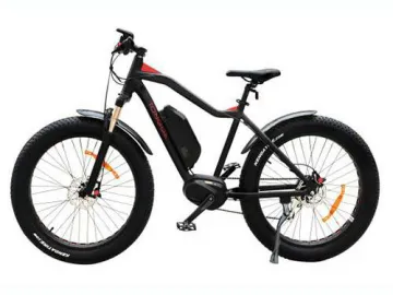 Fat Electric Bike