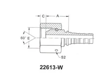 29613-W BSP Female Fittings 60° Cone