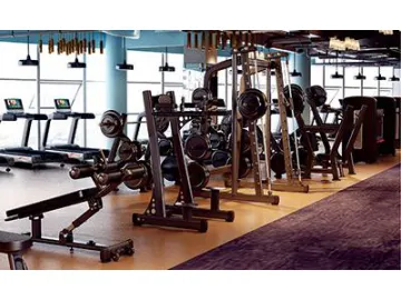 Hospitality, Hotel Fitness