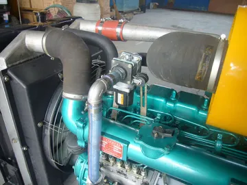 Diesel and Gas Generator Set