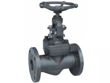 API Forged Steel Globe Valve