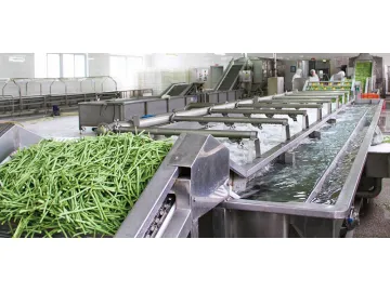 Fruit & Vegetable Processing Line