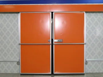 Electric Sliding Door