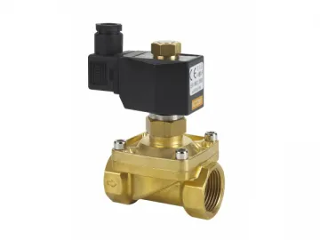 ZW Water Air Solenoid Valve