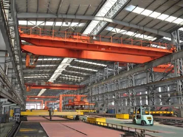 Bridge Crane(with Magnet Lifter)