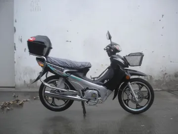 BD100-11A-II Moped