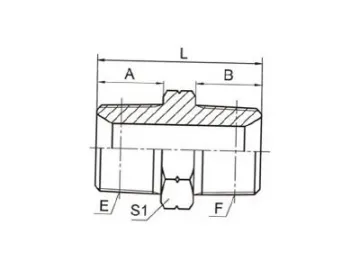 1T-SP BSPT Male Thread Hose Adapter