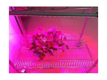 Linear LED Plant Grow Light