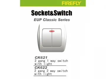 Socket, Switch