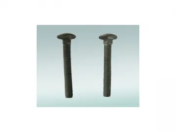 Carriage Bolts