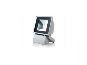 LED Flood Light