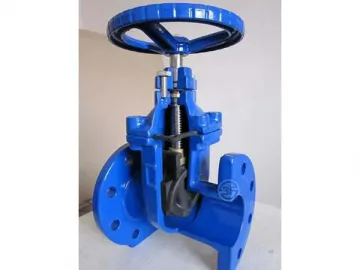 Resilient Seated Gate Valve