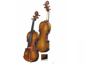 Violin with Amplifier