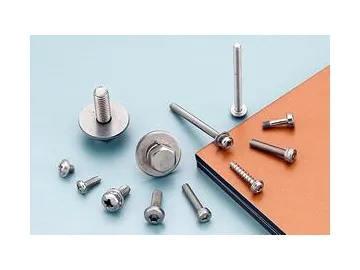 Stainless Steel Micro Screw