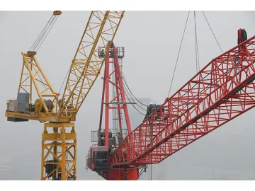 WQ120 Luffing Jib Crane