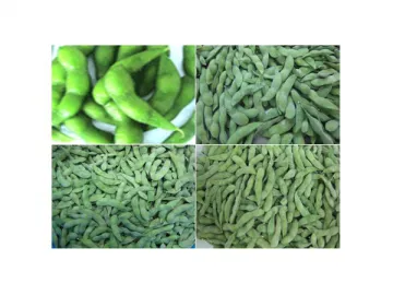 Fresh and Frozen Soy Beans (IQF Vegetable)