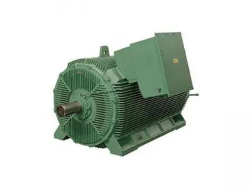 Squirrel Cage AC Motor