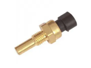 Engine Coolant Temperature Sensor (ECTS)